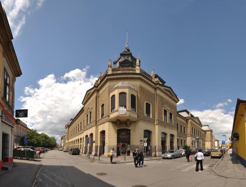 Matica Srpska Library