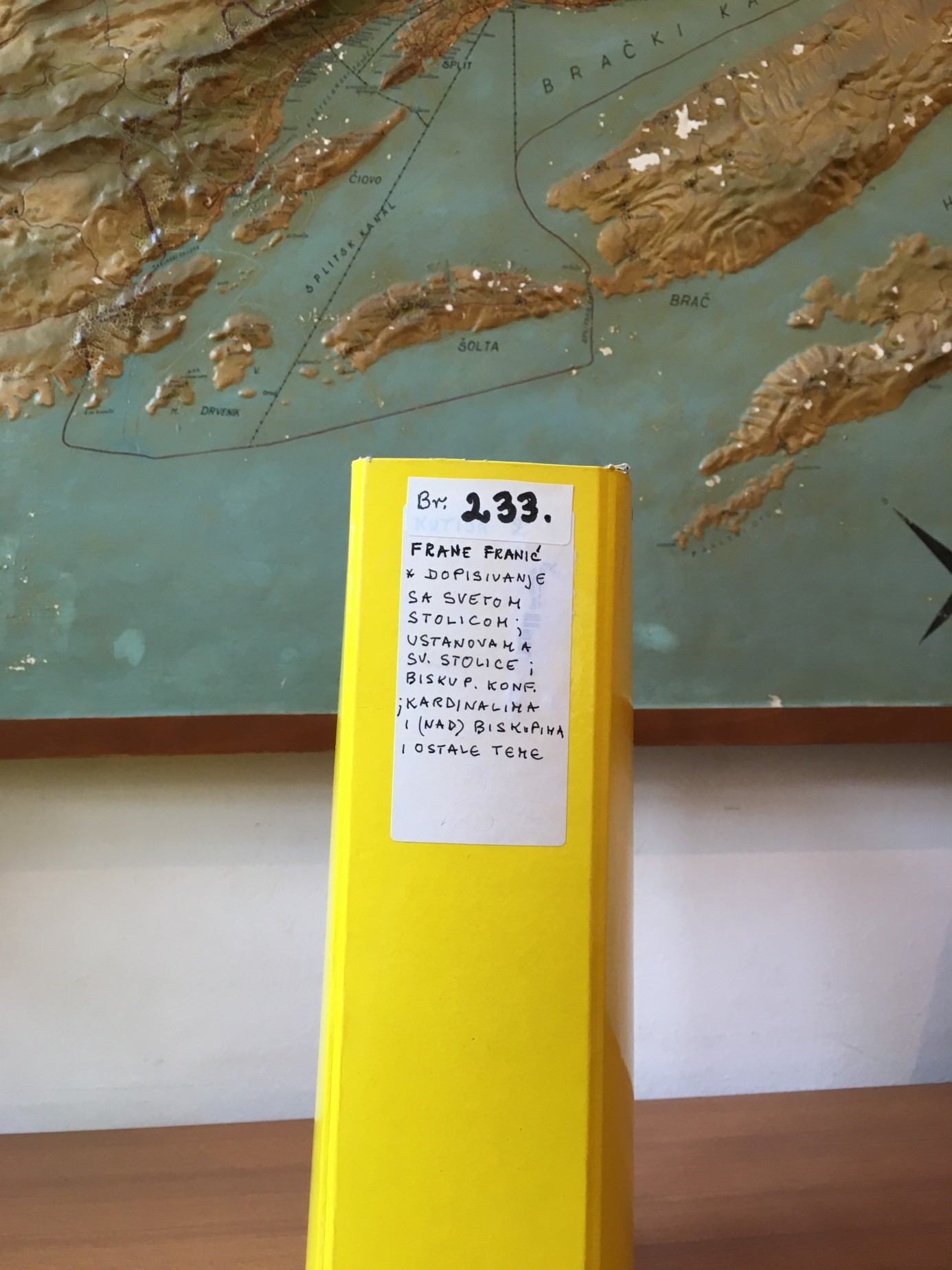 Kutija u kojoj se nalazi gradivo inventarnog broja 233 iz osobnog fonda Frane Franića