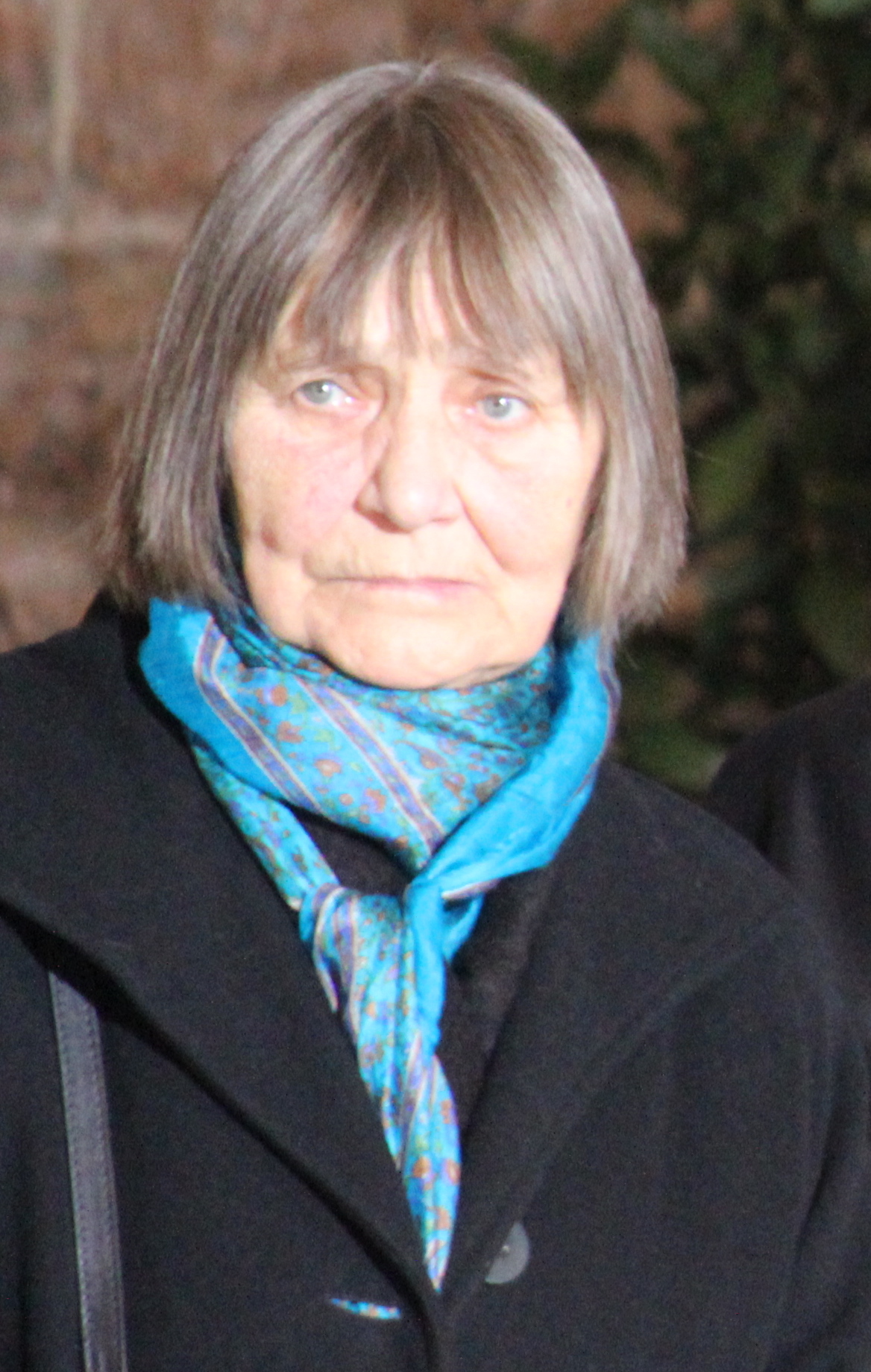 Dana Němcová (2011)