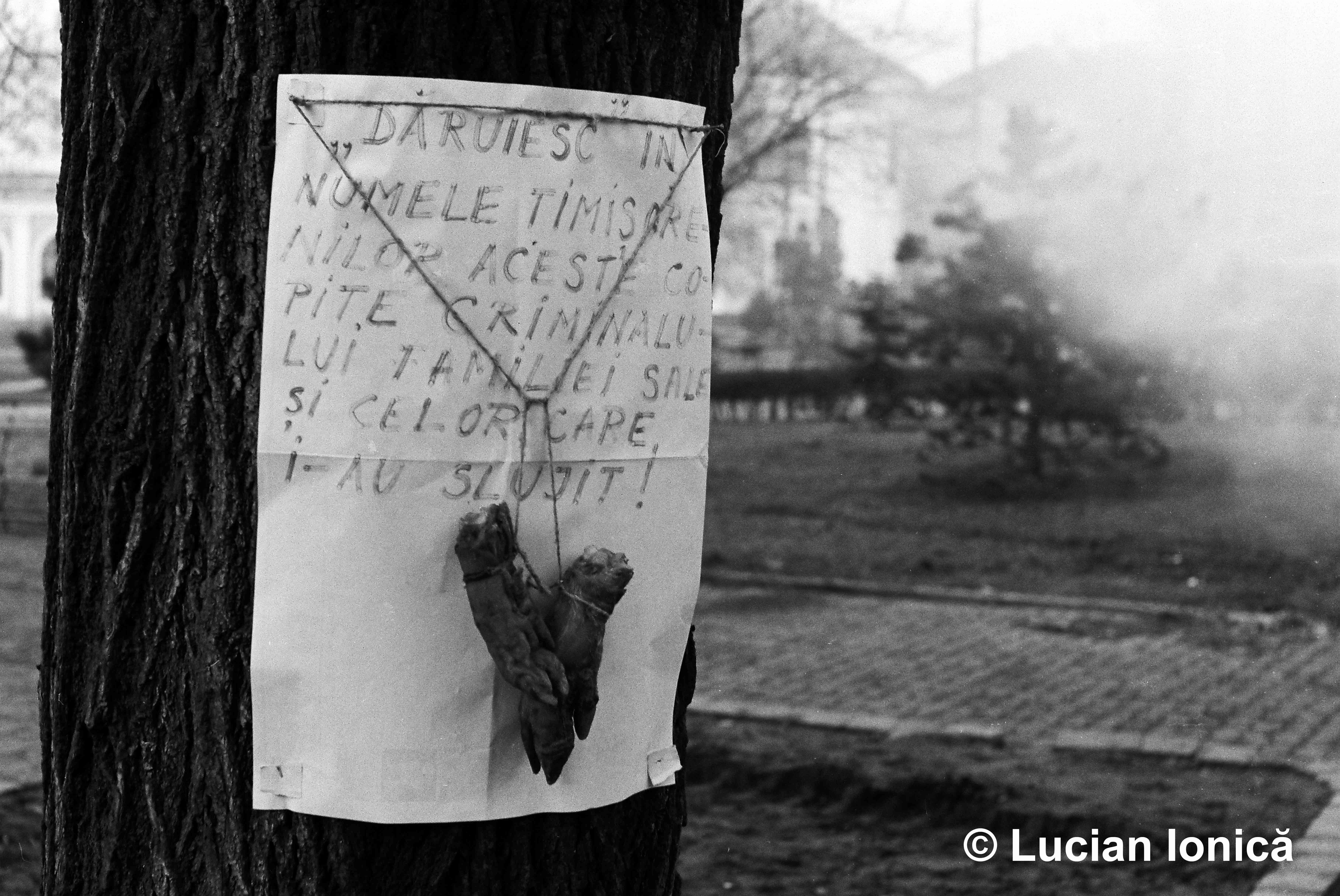 Imagine ironică din timpul Revoluției din 1989 în Timișoara