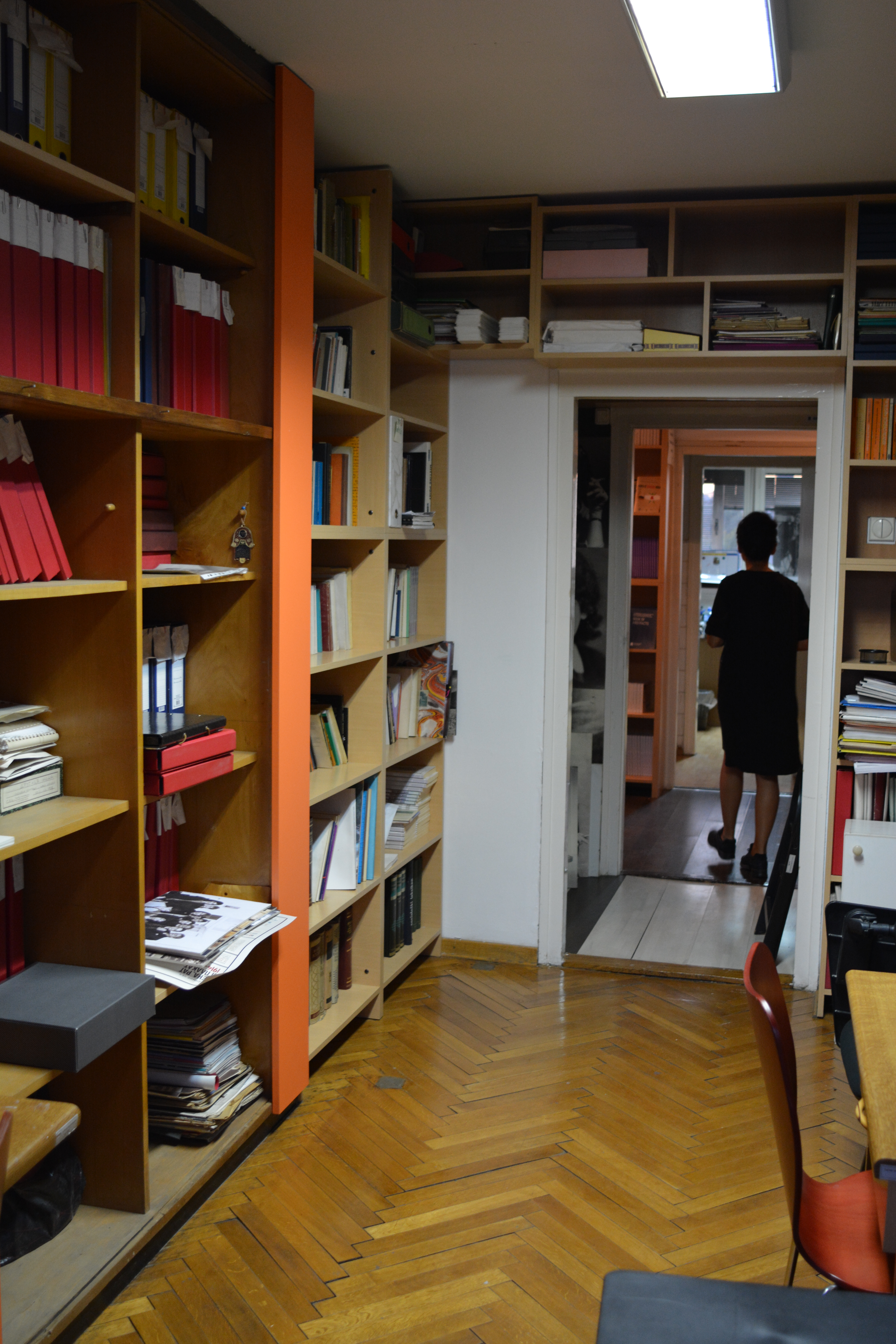 Žarana Papić library