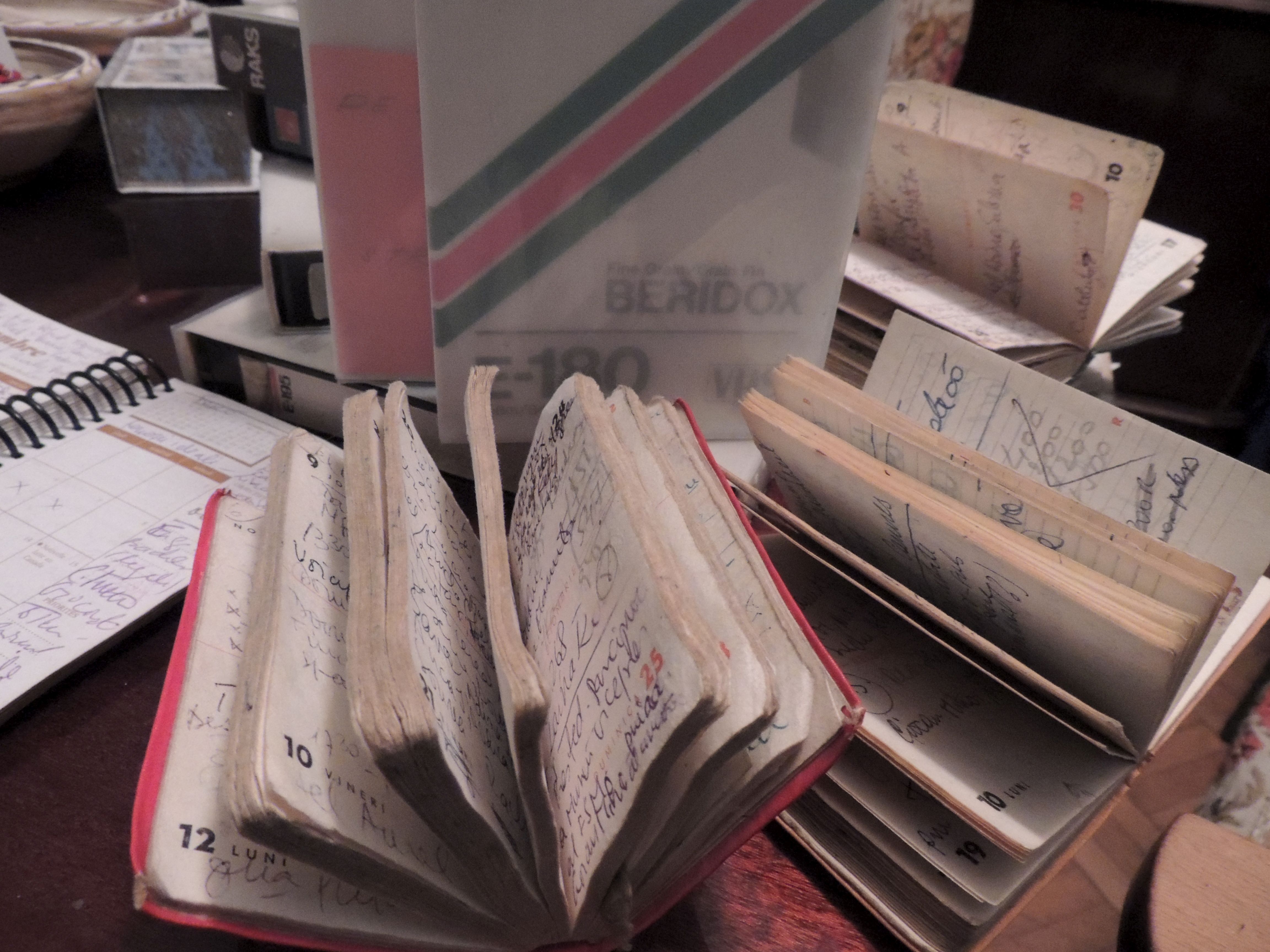 Notebooks including all the titles of the films which Irina Margareta Nistor translated