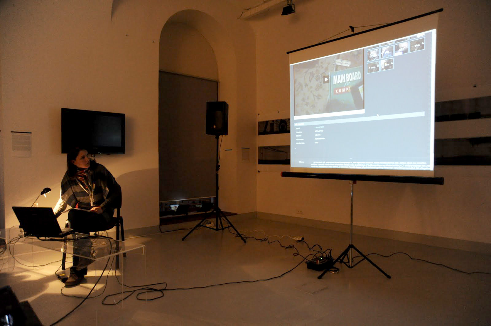 Presentation of Eva Kozma at MAGMA Contemporary Art Space, Saint George, Romania, 2012