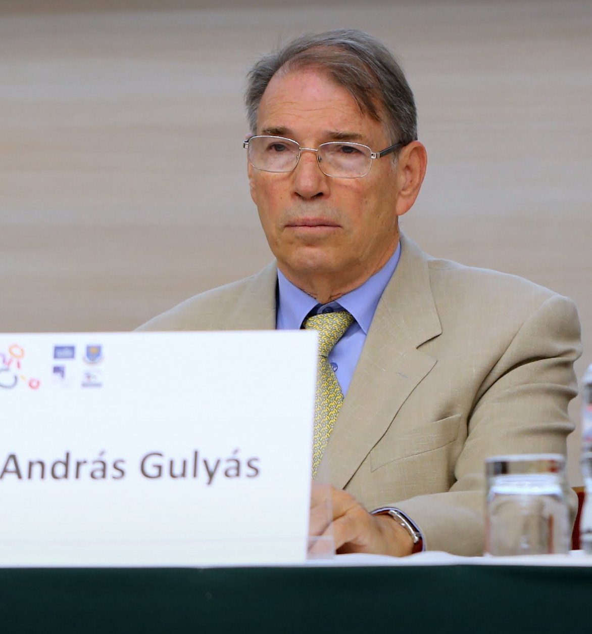 Ambassador András Gulyás on a Conference, 2010