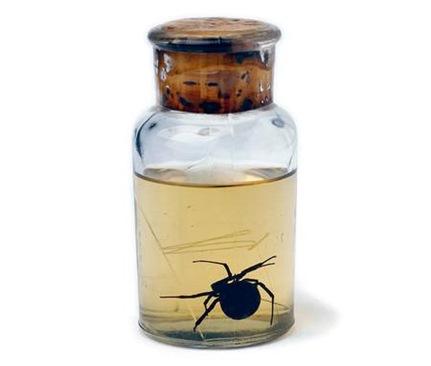 Black Widow immersed in formaldehyde, 7th decade, bottle, formaldehyde, black widow, cut glass, yarn, cork and paraffin wax. Source: http://anti-muzej.com/no-art#obj-10