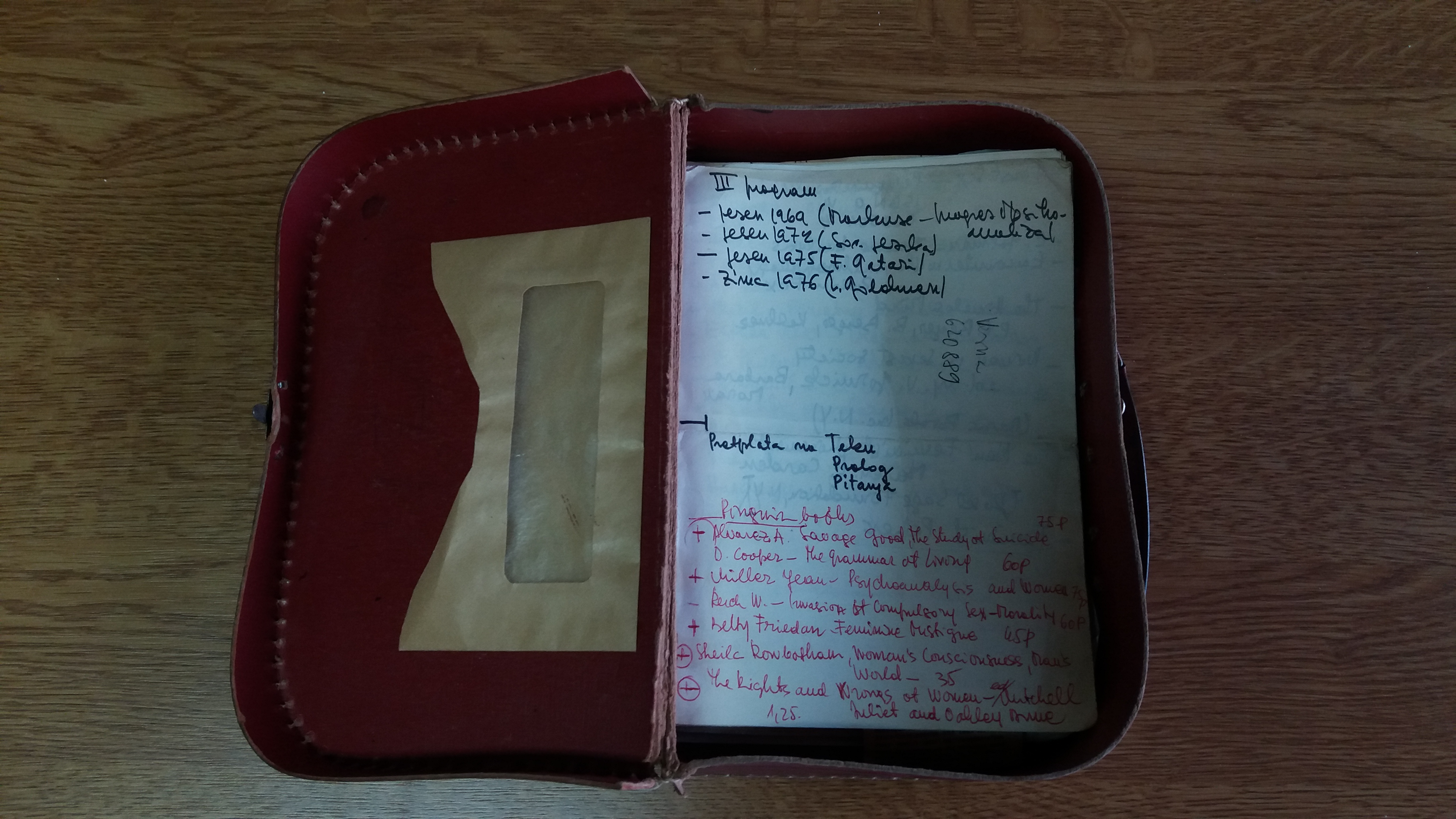 Box with notes of Žarana Papić.