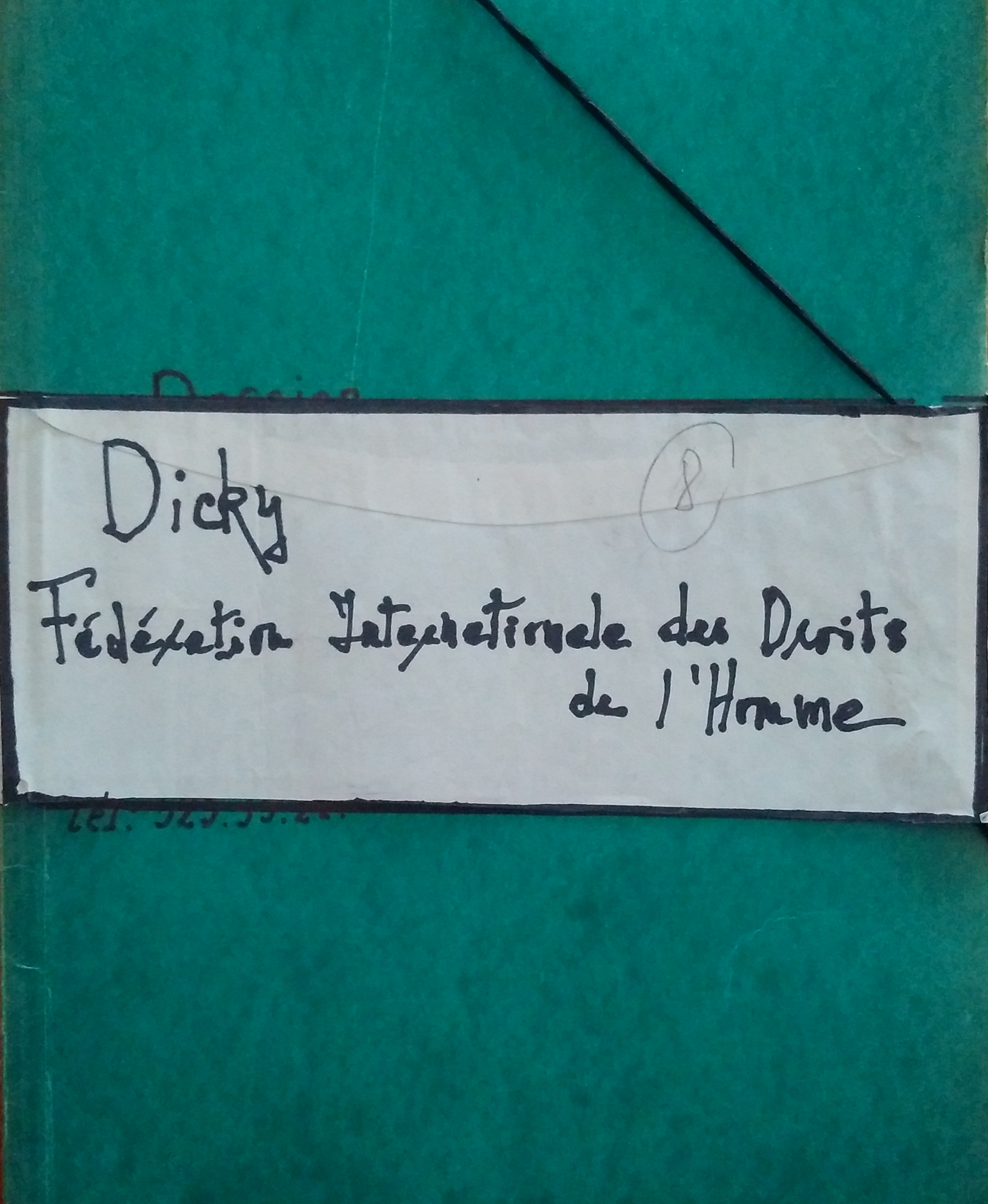 Dosar din Colecția Sanda Stolojan de la IICCMER