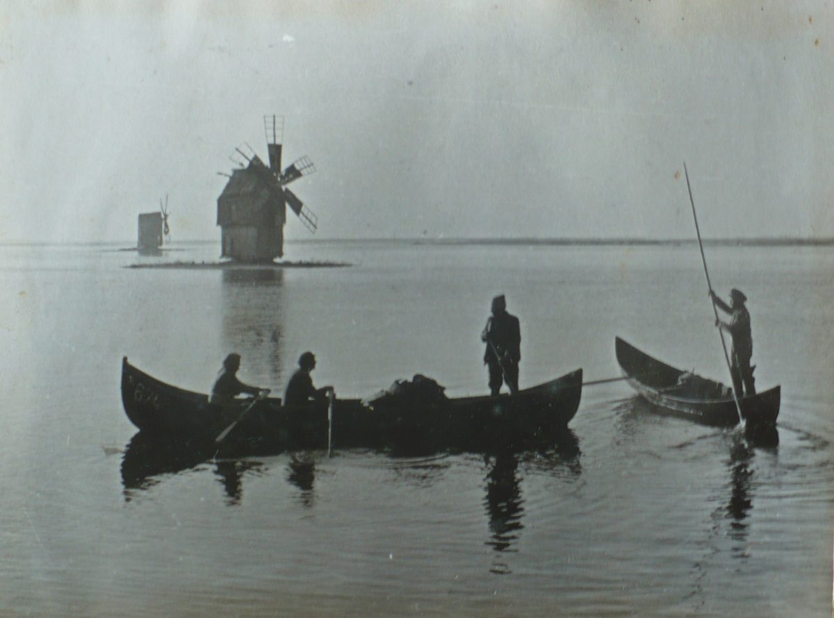 Windmills in Letea, Dobrogea, 1963