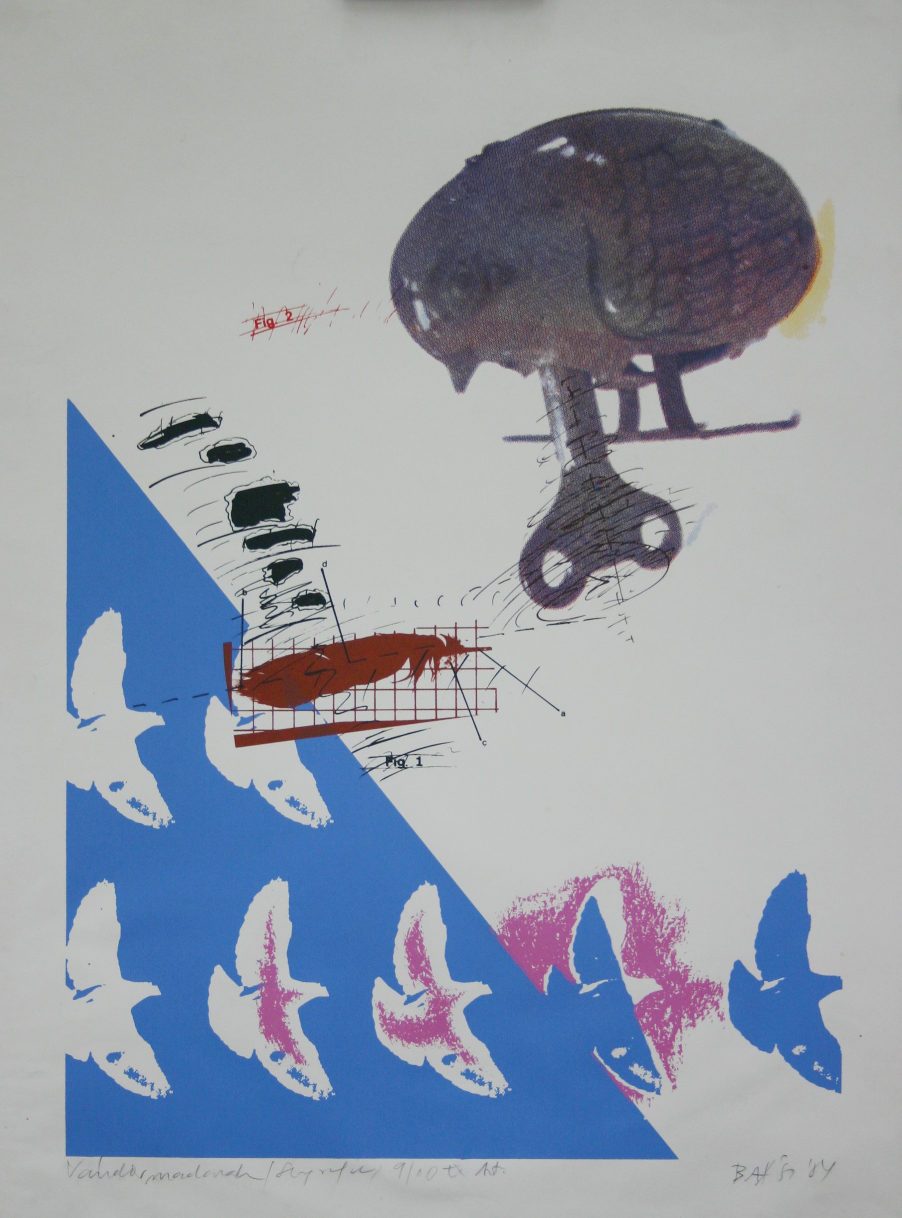 Imre Baász: Păsăricălătoare, imprimareserigrafică, 54x35,5 cm, 1984